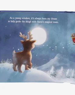 A Reindeer's Dream-Buch