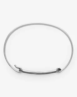 Band Bird Flight Armreif