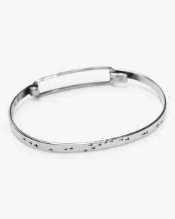 Band Bird Flight Armreif