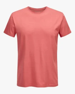 Base T-Shirt