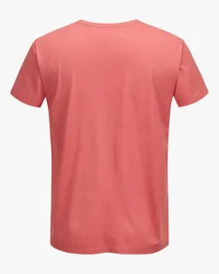 Base T-Shirt