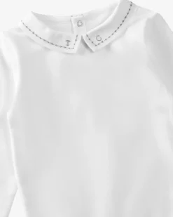 Body