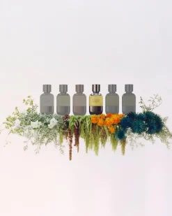 Brezza Gentile Eau de Parfum 100ml