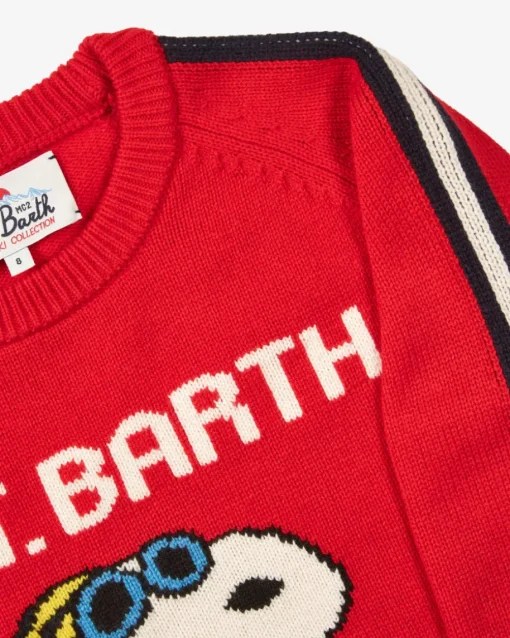 Douglas R Snoopy Ski Club 41 Pullover