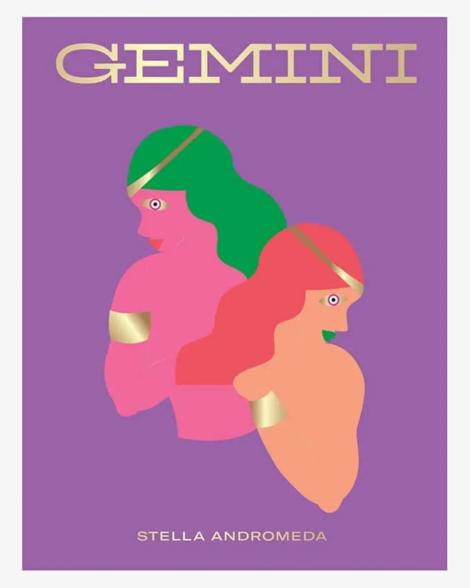 Gemini Buch
