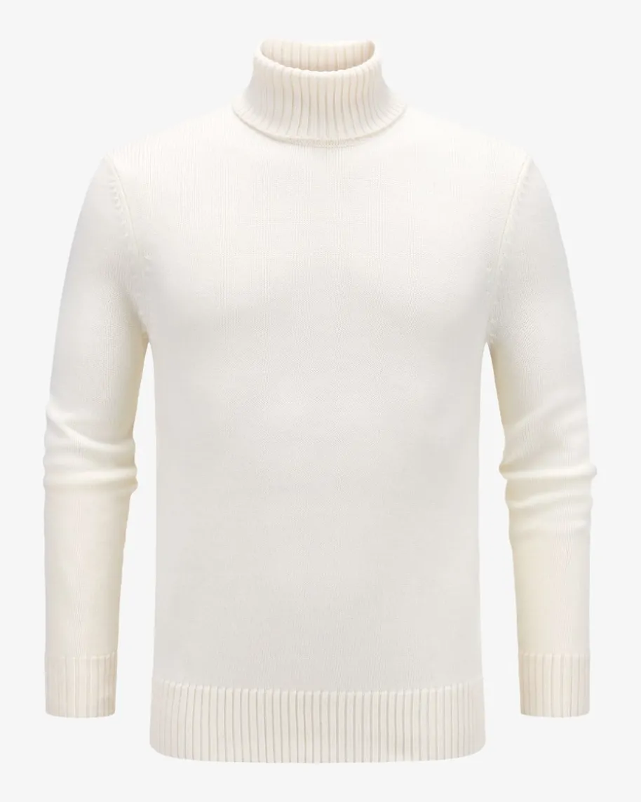 Ramiro Rollkragenpullover