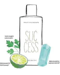 Success Moodspray 70ml