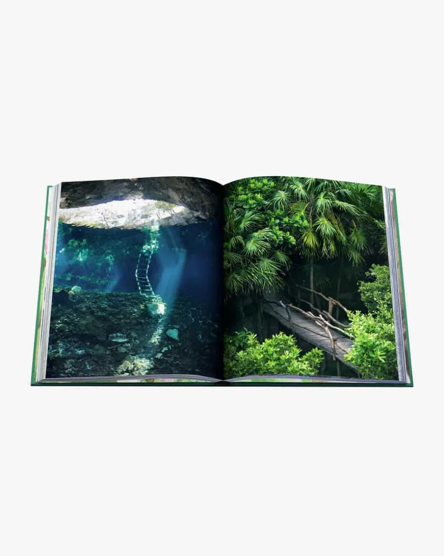 Tulum Gypest Buch