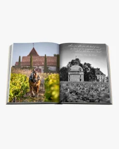 Wine & Travel France Buch