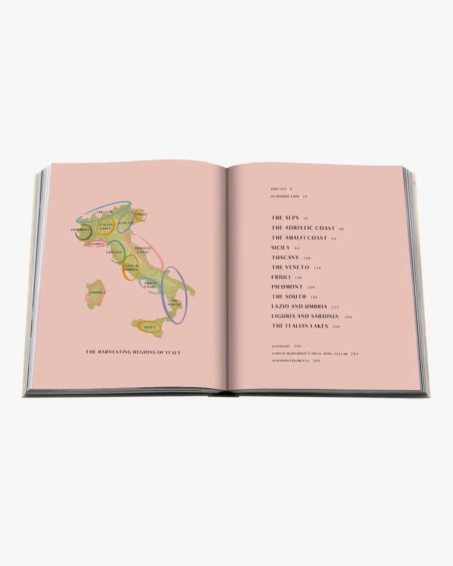 Wine & Travel Italy Buch